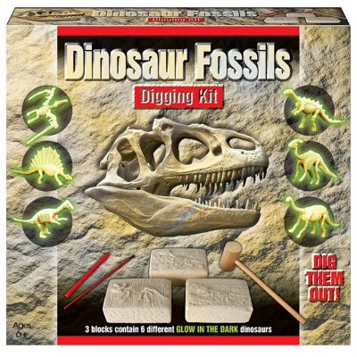 Dinosaur Fossil Digging Kit (£8.99)
