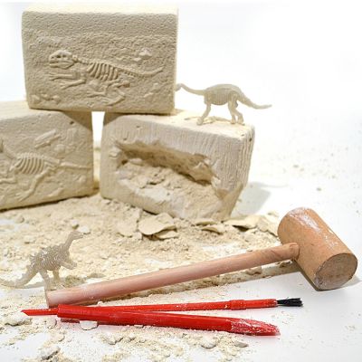 Image 3 of Dinosaur Fossil Digging Kit (£8.99)
