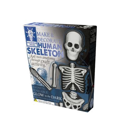 Image 1 of Make & Decorate Skeleton (£9.99)