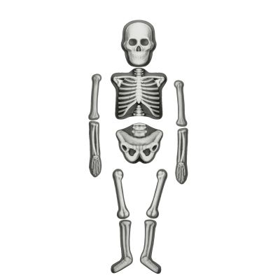 Image 2 of Make & Decorate Skeleton (£9.99)