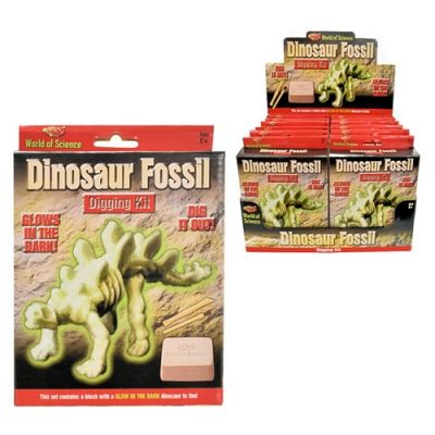 Dinosaur Fossil Digging Kit (£2.99)