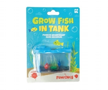 Growing Fish In Tank (£2.50)