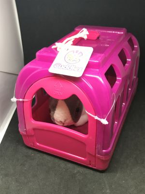 Image 2 of Bunny Carry Case Critter Pink (£7.99)