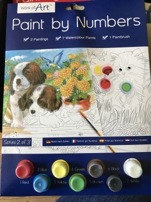 Paint By Numbers Dog and Cats (£1.99)