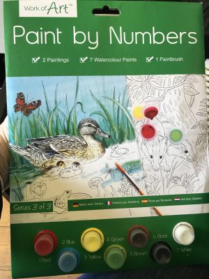 Paint By Numbers Wildlife (£1.99)