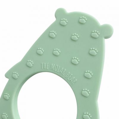 Image 2 of Minty Molar Bear (£9.99)