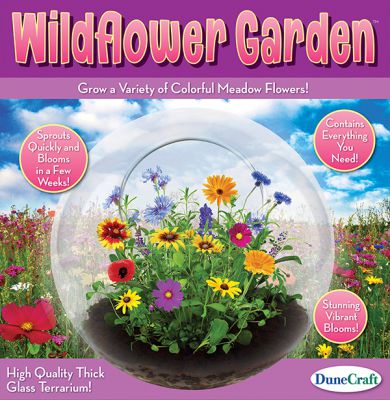 Wildflower Garden Terrarium (£16.99)
