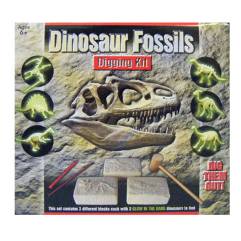 Dinosaur Fossils Digging Kit (£8.99)