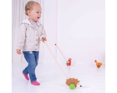 Image 2 of Push Along Hedgehog (£10.99)